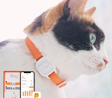 LavvieTag Smart Cat Health Tracker - Locate Missing Cat - Waterproof