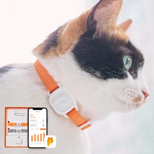 LavvieTag Smart Cat Health Tracker - Locate Missing Cat - Waterproof