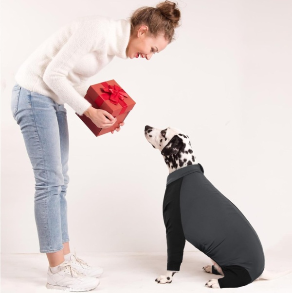 Dog Body Warmer, Dog Surgery Recovery Suit(Grey, L) - Image 6