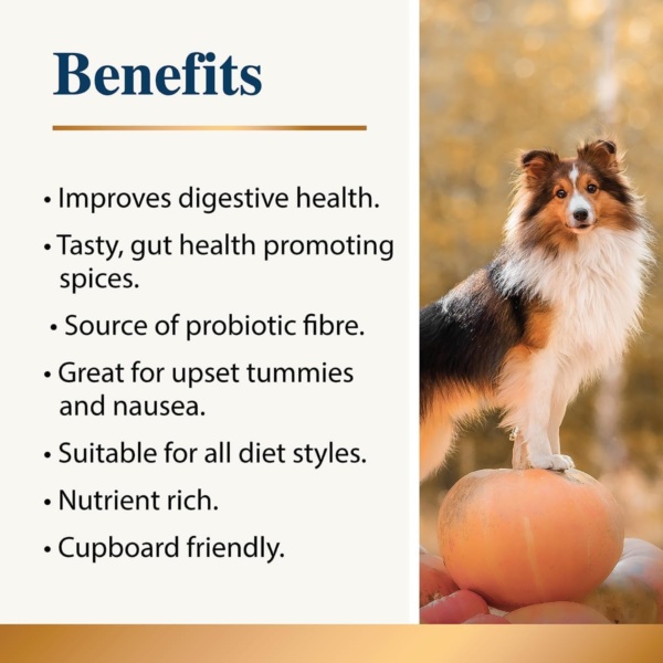 Pumpkin & Spice Whole Food Supplement Topper for Dogs 200g | Superior Pumpkin Powder with Added Gut Healthy Spices | Pumpkin Spice| Fibre Rich, Prebiotic, Anal Gland Health| Scooting (2 x 200g) - Image 5