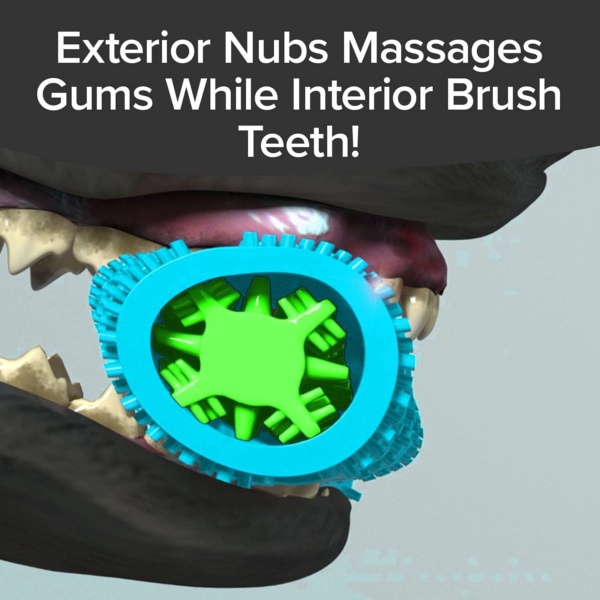 As Seen On TV BrushBone Dog Toothbrush, Dogs Brush Their Teeth While Chewing, Plaque and Tartar Remover for Teeth, Works 3 Ways to Clean, Invented by a Dentist & His Hygienist Wife - Image 5