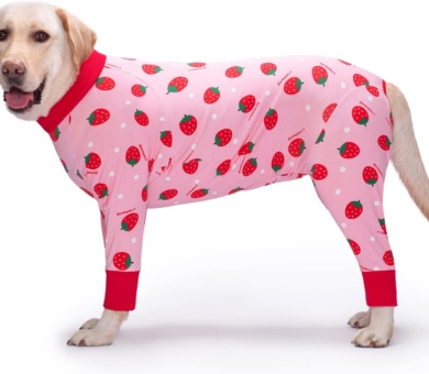 Yeapeeto Dog Surgery Recovery Suit for After Surgery Large Medium Dogs, Post Surgery for Female Male Dog, Cone E-Collar Alternative Pet Onesie, Prevent Licking Dog Suit(Strawberry,3XL)