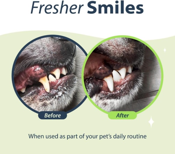 DENTAL FRESH Water Additive for Cats, Original Formula, 8 oz – Bad Breath Treatment for Cats – Add to Water Bowl to Whiten Teeth and Eliminate Bad Breath – Cat Teeth Cleaning to Improve Oral Health - Image 3