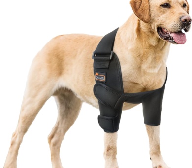 Dog Elbow Brace for Elbow Support and Protection, Protector Pads Hygroma, Elbow Pads for Dogs Dysplasia, Calluses, Elbow Wound Healing,et(Both Legs,L)