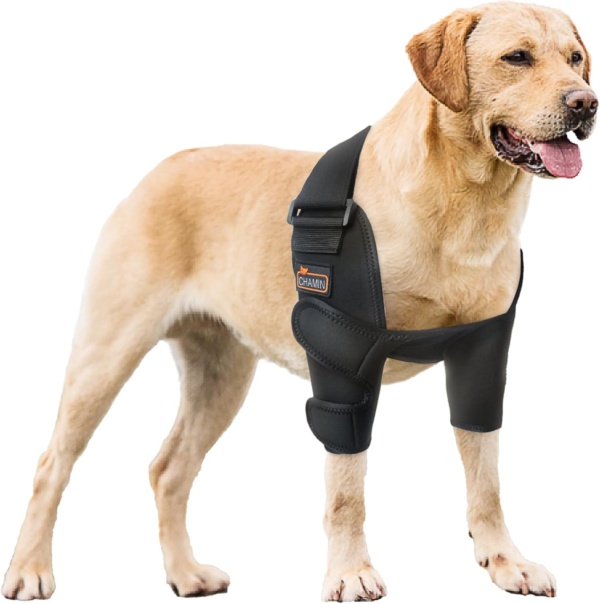 Dog Elbow Brace for Elbow Support and Protection, Protector Pads Hygroma, Elbow Pads for Dogs Dysplasia, Calluses, Elbow Wound Healing,et(Both Legs,L)