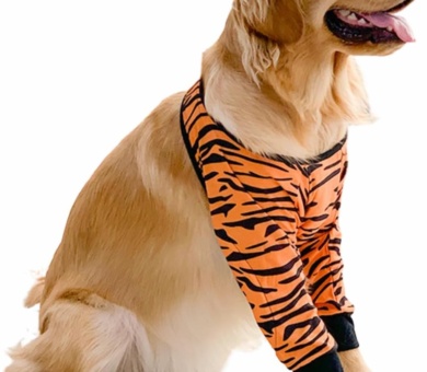Dog Elbow Protector for Calluses, Dog Joint Recovery Sleeve for Prevent Licking Wound, Elbow Sleeves with Mesh Pad for Medium Large Dogs (L, Tiger)