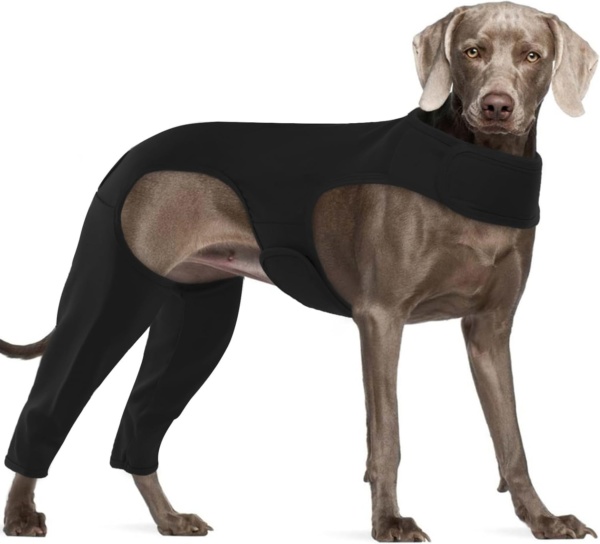 Recovery Suit For Dogs - Leg Surgery Protector, Lick Sleeve To Prevent Licking, Avoids Wound Infection - 3XL