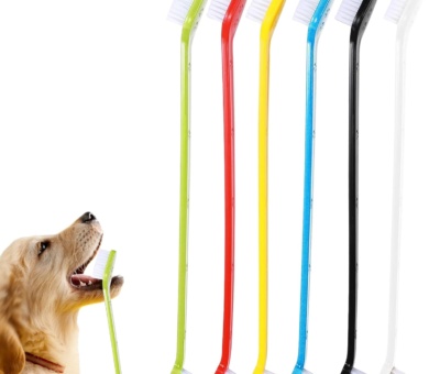 Pack of 6 Dog Toothbrush Set, Double Ended Dog & Cat Dental Oral Care Toothbrush, Long Handle Pet Teeth Brush for Dogs Tooth Cleaner Care for Small to Large Dogs Cats