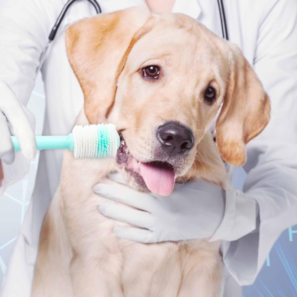 2 Pack Small Dog & Cat Toothbrush,360 Degree Soft Silicone Pet Toothbrush Cat Dental Care Dog Oral Hygiene Deep Clean Pet Teeth Cleaning Kit - Image 7