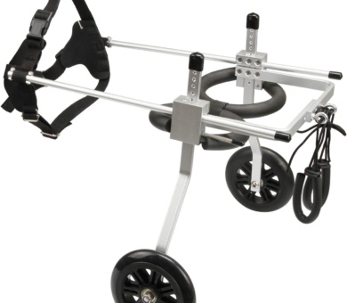Adjustable 2-Wheel Pet Wheelchair for Medium Dogs & Cats - Stainless Steel Frame for Hind Leg Rehabilitation, Supporting Elderly & Handicapped Pets