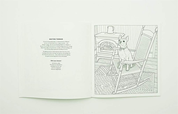 All About the Dog: A Battersea Dogs & Cats Home Colouring Book - Image 4