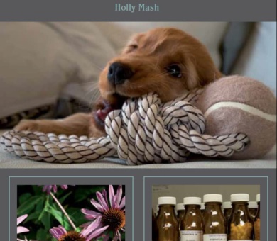 The Holistic Dog: A Complete Guide to Natural Health Care