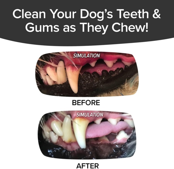 As Seen On TV BrushBone Dog Toothbrush, Dogs Brush Their Teeth While Chewing, Plaque and Tartar Remover for Teeth, Works 3 Ways to Clean, Invented by a Dentist & His Hygienist Wife - Image 3