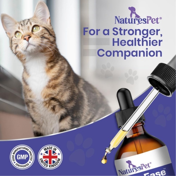 LiverEase – Milk Thistle for Cats (120ml) – Liver Support, Detox & Antioxidant Protection – Rich in Silymarins, Beef, Liver & Bacon Flavour - Image 3