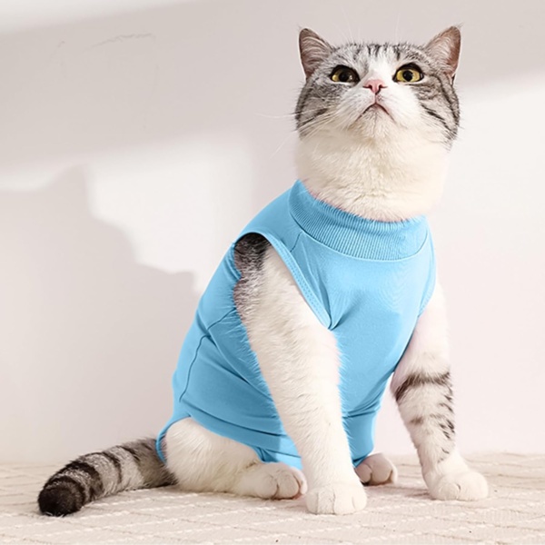 Cat Surgery Recovery Suit Cat After Surgery Bodysuit for Abdominal Wounds or Skin Diseases Kitten Surgical Onesie E-Collar Alternative for Cats and Dogs (Blue, S) - Image 3