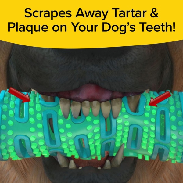 As Seen On TV BrushBone Dog Toothbrush, Dogs Brush Their Teeth While Chewing, Plaque and Tartar Remover for Teeth, Works 3 Ways to Clean, Invented by a Dentist & His Hygienist Wife - Image 4