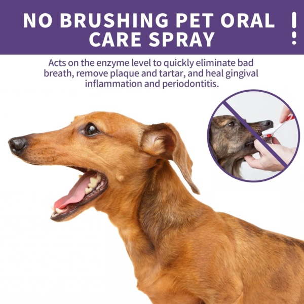 VENNERLI Pet Oral Care Spray Cleaning Oral Care Freshens Breath Reduces Oral Tartar Promote Oral Health (50ml) - Image 3