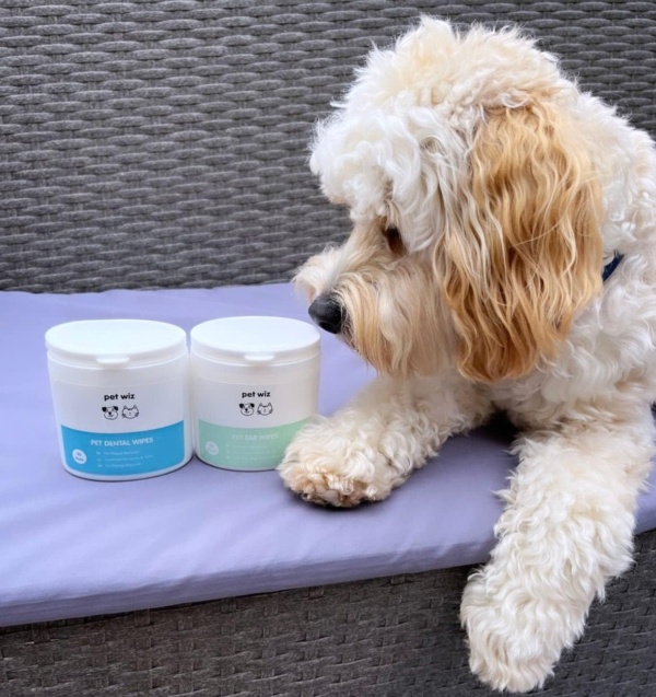 Dental Finger Wipes with Spearmint Oil for Dogs & Cats. Removes Plaque & Tartar, Care for Gums & No Rinsing Required. - Image 4