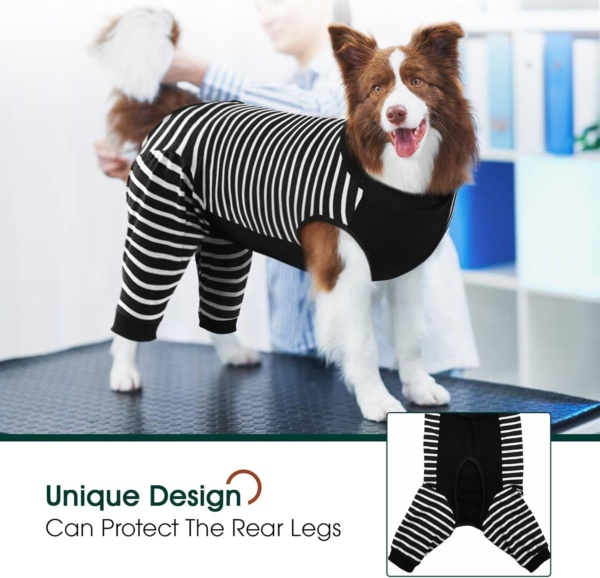 Kuoser Dog Surgery Recovery Suit - Female Hind Legs Post Surgery Body Suit Black 2XL - Image 5
