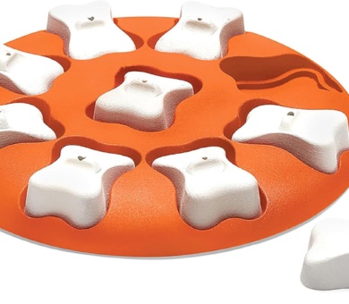 Outward Hound Nina Ottosson Dog Smart Dog Puzzle Interactive Treat Puzzle Dog Enrichment Dog Toy, Level 1 Beginner, Orange