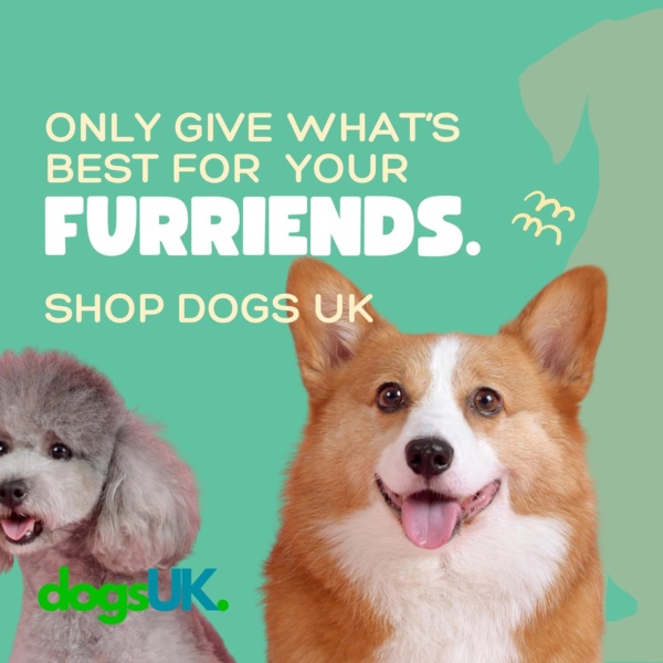 Dogs UK® | First Aid Kit for Dogs | Expert Dog Health and Dog Care | Dog First Aid Kit UK Specialists - Image 7