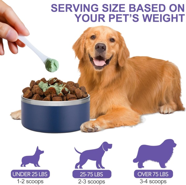 Dental Powder for Dogs & Cats, Dog Breath Freshener, Dog Dental Care, Plaque Off & Tartar Remover for Dogs Cats, Teeth Cleaning Made Easy Eliminate, Formulated for All Ages Pet - 100g - Image 4