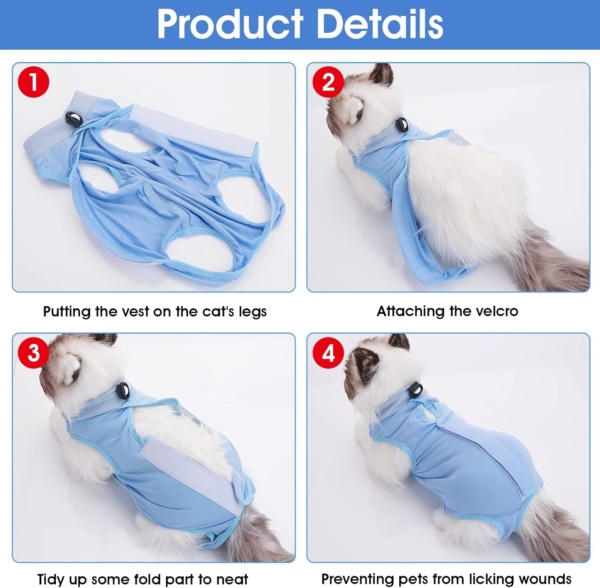 Cat Professional Recovery Suit for Abdominal Wounds or Skin Diseases, After Surgery E-Collar Alternative for Cats Anti Licking Pajama Suit Kittens Surgery Recovery Suit (Blue, M Size) - Image 6