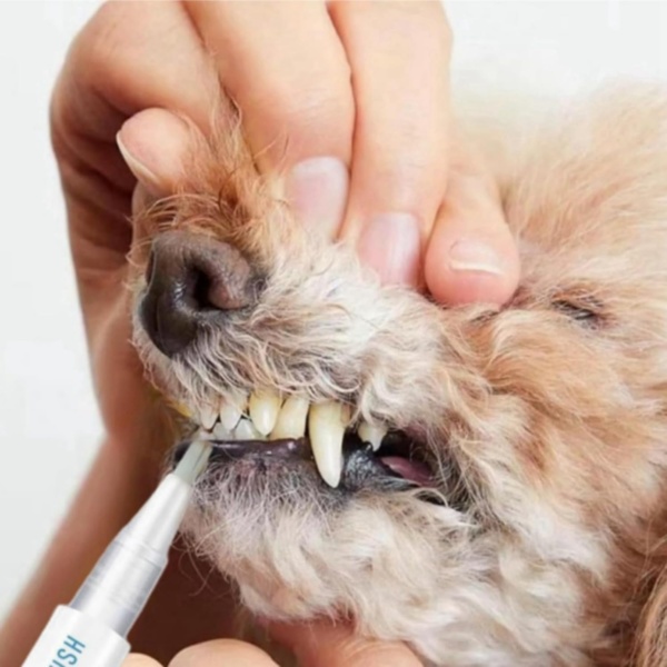 Pet Toothbrush Pen, Dog Teeth Cleaning, Cat Teeth Cleaning Pen, Manual Power Source, Natural Silicone Bristles, White, Oral Care for Pets - Image 9