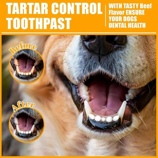 Pet Dental Care Set - Dog & Cat Toothbrush and Toothpaste, Finger Toothbrush, Teeth Cleaning Products, Dental Kit Against Bad Breath (Beef Flavor) - Image 7