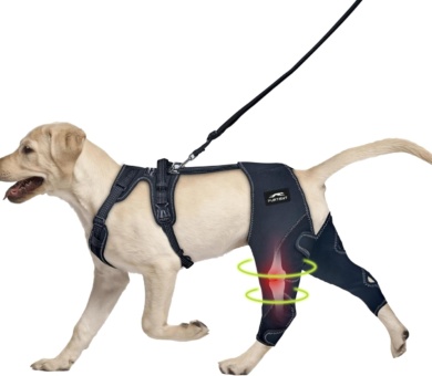 Dog Knee Brace for Torn ACL Hind Leg - Keeps Joints Warm and Stable, Upgraded Adjustable Leg Support (L, Classic Knee Brace)