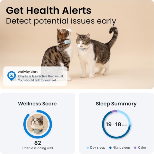 Tractive GPS Cat Tracker (6.5 lbs+), Real-time Pet Location Tracker, Health & Wellness Alerts, Battery Life Up to 7 Days, Breakaway Cat Collar Included (Mint) - Image 3