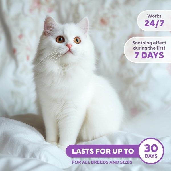 Beloved Pets Calming Pheromone Spray & Scratch Repellent for Cats - Reduces Scratching Furniture, Pee - During Travel, Fireworks, Thunder, Vet Zone - Helps to Relief Stress, Fighting, Hiding (50 ml) - Image 5