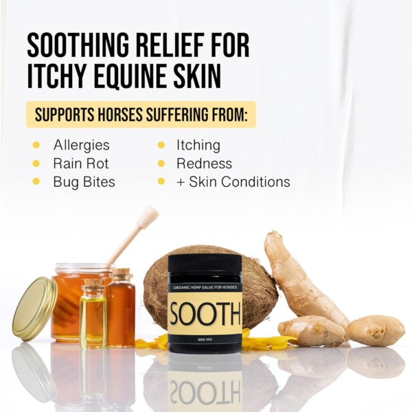 Soothe - Hemp Salve Horse Liniment - Bug Bites & Allergy Support - Soothing Relief for Skin Irritation in Horse - Image 4