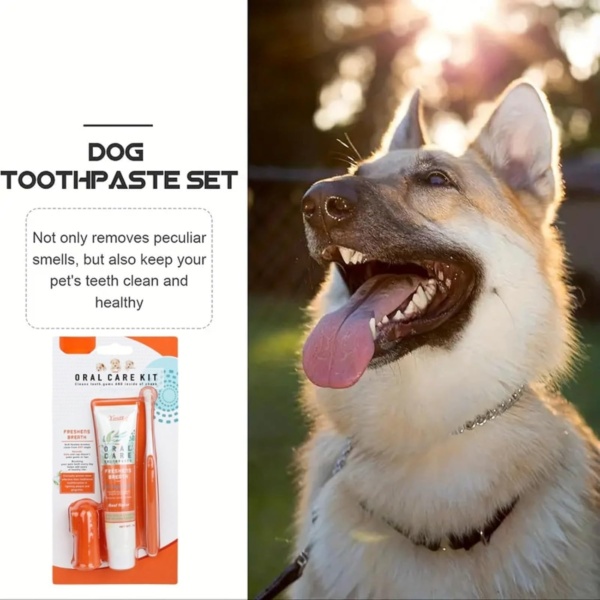 Pet Dental Care Set - Dog & Cat Toothbrush and Toothpaste, Finger Toothbrush, Teeth Cleaning Products, Dental Kit Against Bad Breath (Beef Flavor) - Image 8