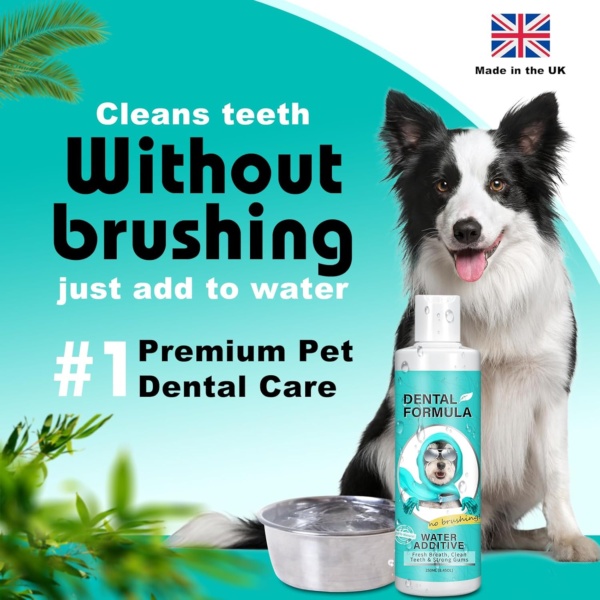 Bailey & buddies Dental Formula Water Additive For Dogs & Cats - Clean Teeth, Healthy Gums & Fresh Breath - Manage Plaque & Tartar Build-Up - No Brushing Needed - Cat/Dog Oral Health & Mouthwash - Image 2