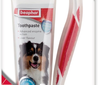 Beaphar | Toothbrush & Toothpaste Dental Care Kit | For Dogs & Cats | Includes A Double-Ended Toothbrush & Liver-Flavoured Enzymatic Toothpaste, 100g Tube, 2 Count (Pack Of 1)