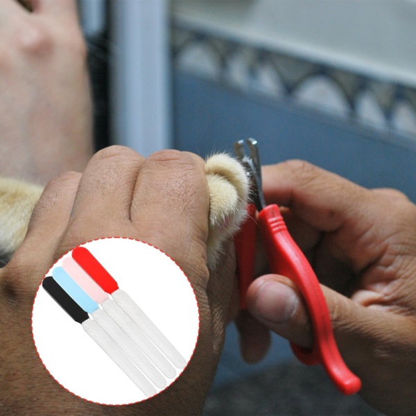 4PCS Stainless Steel Pet Nail Claw File, Cat Nail Clippers Dogs Claw File for Dogs Cats Puppies - Professional Dog Nail Care Tool (4 Colors) - Image 5