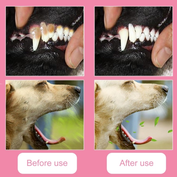 10Pcs Dog Toothbrush, 360º Dog Finger Toothbrush, Silicone Pets Teeth Cleaning Toothbrush Kit, Suitable for Dogs and Cats, Dog Plaque Dog Dental Cleaning Care - Image 4