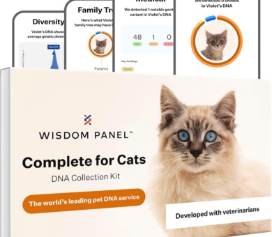 Wisdom Panel Complete: Comprehensive Cat DNA Test for 45 Health Genetic Health Conditions | 70+ Breeds and populations | 25+ Traits | Blood Type