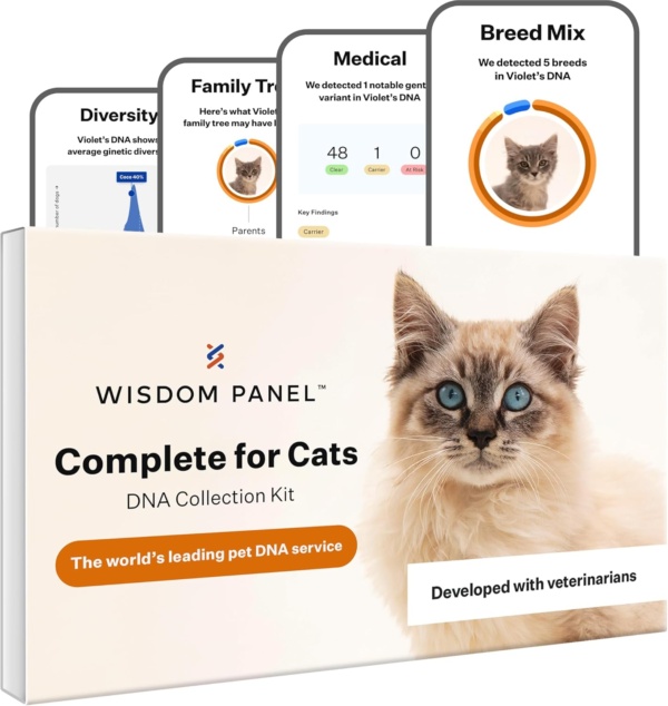 Wisdom Panel Complete: Comprehensive Cat DNA Test for 45 Health Genetic Health Conditions | 70+ Breeds and populations | 25+ Traits | Blood Type