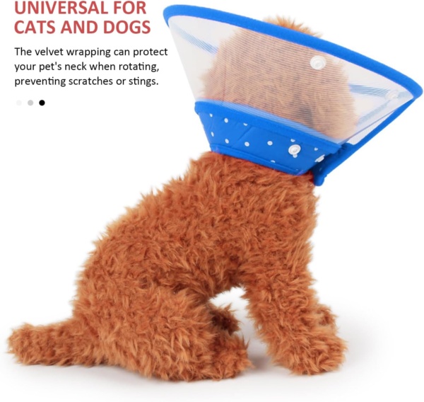1 Piece Pet Collar - Leak Protection for Cats & Dogs, Transparent, Lightweight (Blue) - Image 5