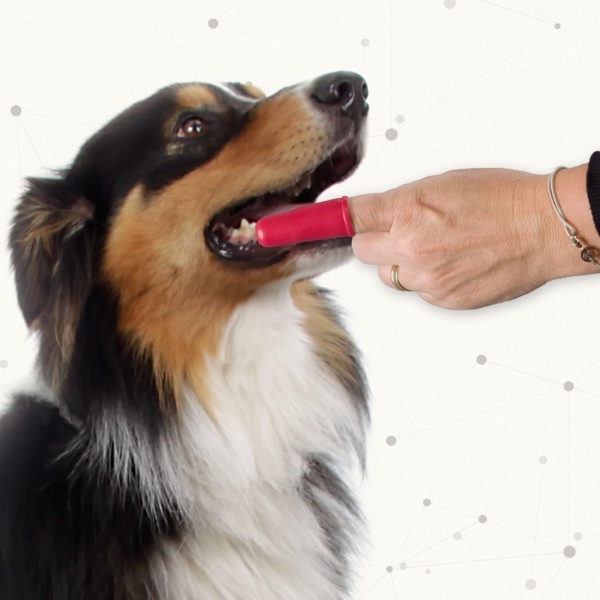 Beaphar | Finger Toothbrush | Dental Care For Dogs & Cats | For Accurate Cleaning | Soft Bristles | Ideal for Sensitive Pets | 2 Pack, Red - Image 4