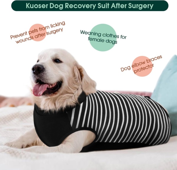Kuoser Dog Surgery Recovery Suit - Female Hind Legs Post Surgery Body Suit Black 2XL - Image 6