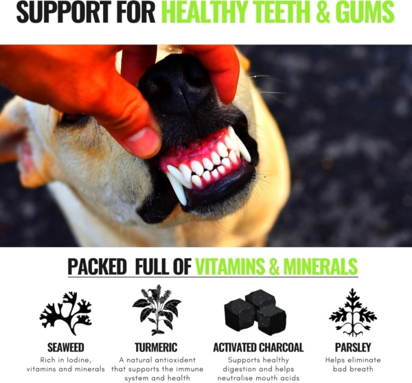 NEW 200G - Plaque X 100% Natural Plaque Off & Tartar Remover For Dogs & Cats | Breath Freshener For Dogs, Cats & Pets | | No Toothbrush & Supports Gum & Teeth Health - Image 6