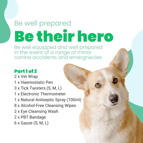 Dogs UK® | First Aid Kit for Dogs | Expert Dog Health and Dog Care | Dog First Aid Kit UK Specialists - Image 3
