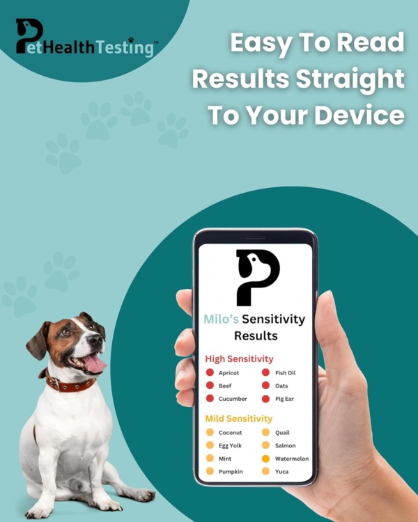 Dog Sensitivity Test Kit | Accurate For All Breeds and Ages | Easy To Use | Non-Invasive Fur Sample | 375 Item Test | Personalised Results Report in 3 Days | UK Based - Image 2