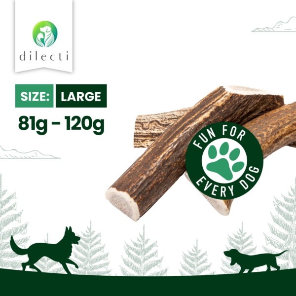 Premium Natural Deer Antlers For Dogs - Rich in Proteins & Minerals - Durable, Long Lasting Dog Chew for Dental Care, Teething, and Boredom - Spilt L (81-120g), pack of 3 - Image 2