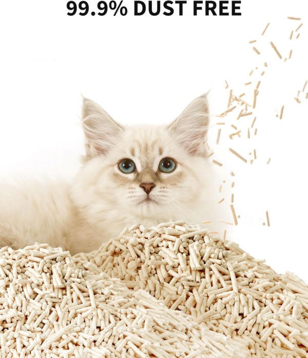 PETKIT Clumping Cat Litter, Mixed Tofu Bentonite Cat Litter with Urine Test Particles, Easy to Use Ultra Absorbent, Odor Control and Flushable, Dust Free, Biodegradable, 2 Packs/4.8kg - Image 6