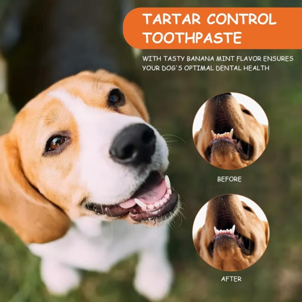 Dog Toothpaste and Brush 3PCS Soft Bristle Dog Dental Care Kit Puppy Dogs & CatsThree-Sided Toothbrush Teeth Finger Brush with Paste Plaque Tartar Remover Breath Freshener - Image 6