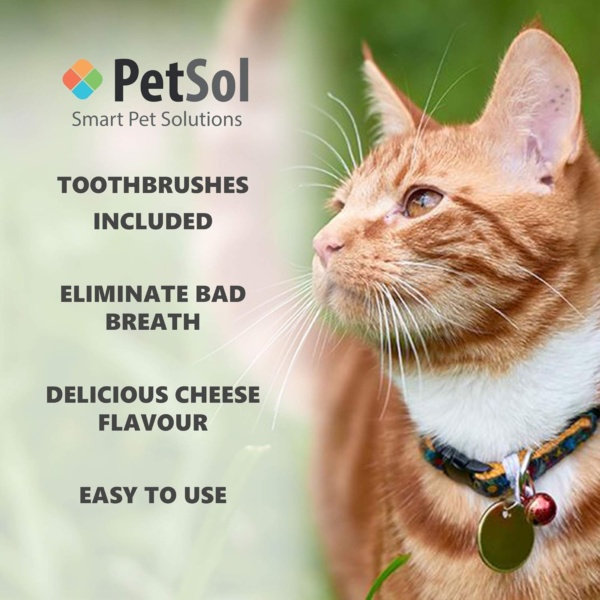 Dental Care Kit Cat Toothpaste (50g) with 2 x Pet Toothbrushes to Clean Cat's Teeth, Remove Plaque and Tartar, Improve Gum, Tooth Health & Pet Oral Hygiene - Image 4